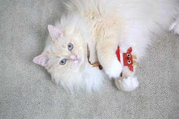 Mad Cat Reindeer Matatabili Kedi Oyuncağı - Kumaş ve Peluş Oyuncaklar