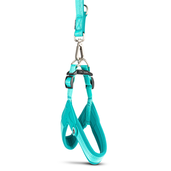 Matrix 2.0 Akıllı Künyeli Q-Fit Köpek Göğüs Tasması  - Turquoise (XXS) - Göğüs Tasmaları