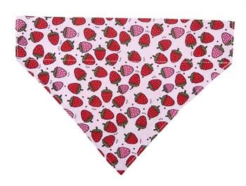 Max & Molly Strawberry Dream Bandana - Bandanalar