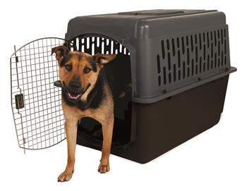 Petmate Pet Porter Köpek Kafesi No:6 (92x64x69cm) - Plastik Taşımalar