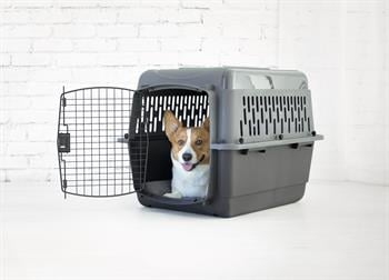 Petmate Pet Porter Köpek Taşıma Kafesi No:4 (72x52x55cm) - Plastik Taşımalar