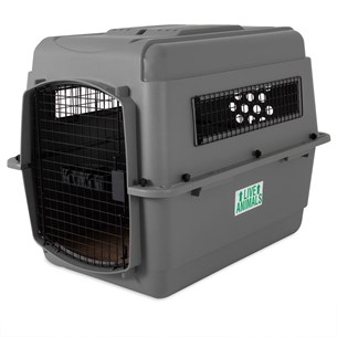 Petmate Sky Kennel Taşıma Kafesi (82 x 58 x 61cm) - Köpek Taşıma ve Kafesleri