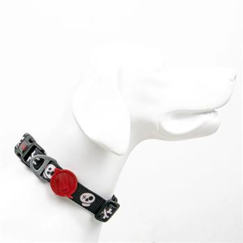 Tailpetz Boo Collar