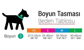 Tailpetz Köpek Boyun Tasmaları