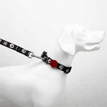 Tailpetz Köpek Boyun Tasmaları
