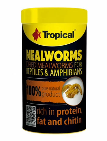 Tropical Meal Worms 100 ml/13Gr