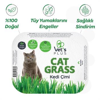 Vet's Plus %100 Doğal Fileli Kedi Çimi - Kedi Vitaminler ve Ek Besinler