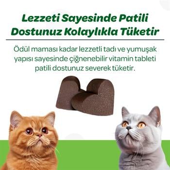 Vet's Plus Hairball Kediler İçin Malt ve Kinoalı Tüy Yumağı Önleyici Çiğnenebilir Tablet (60'lı) - Kedi Vitaminleri