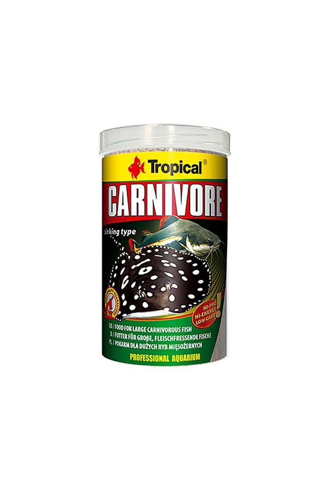 Tropical Carnivore
