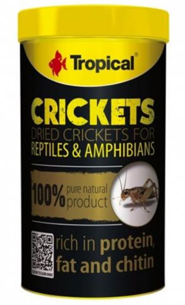 Tropical Crickets 250ml/25G
