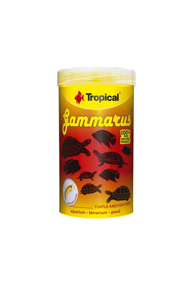 Tropical Gammarus Kaplumbağa Yemi