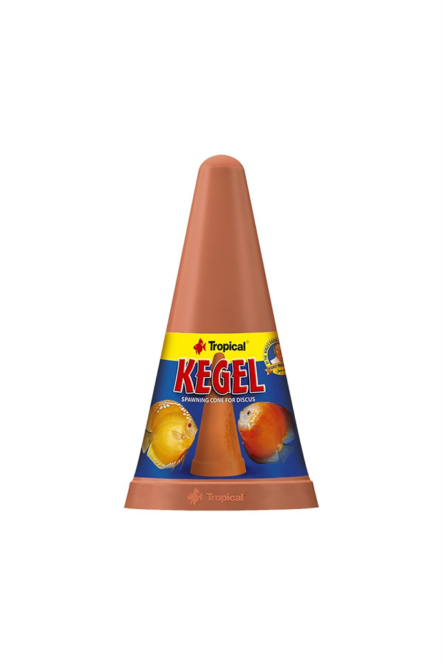 Tropical Kegel