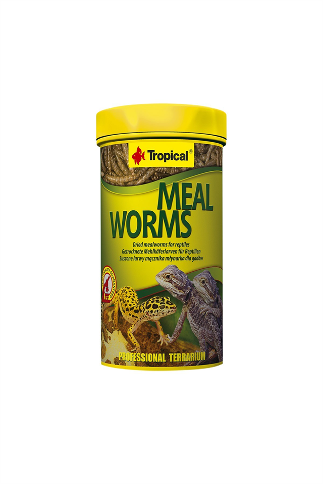Tropical Meal Worms 250ml/30Gr