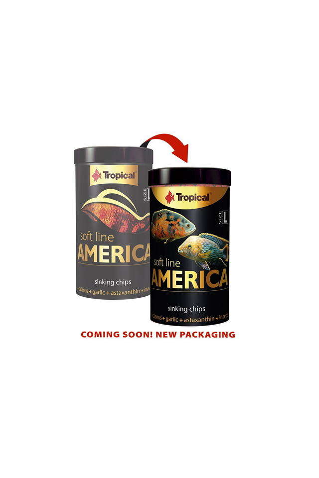 Tropical Soft Line America Size L 100ml/52Gr