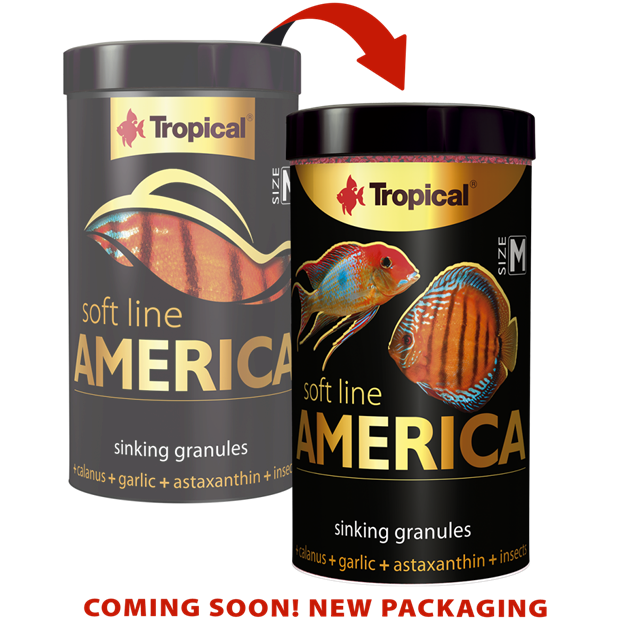 Tropical Soft Line America Size M 1000ml/600Gr