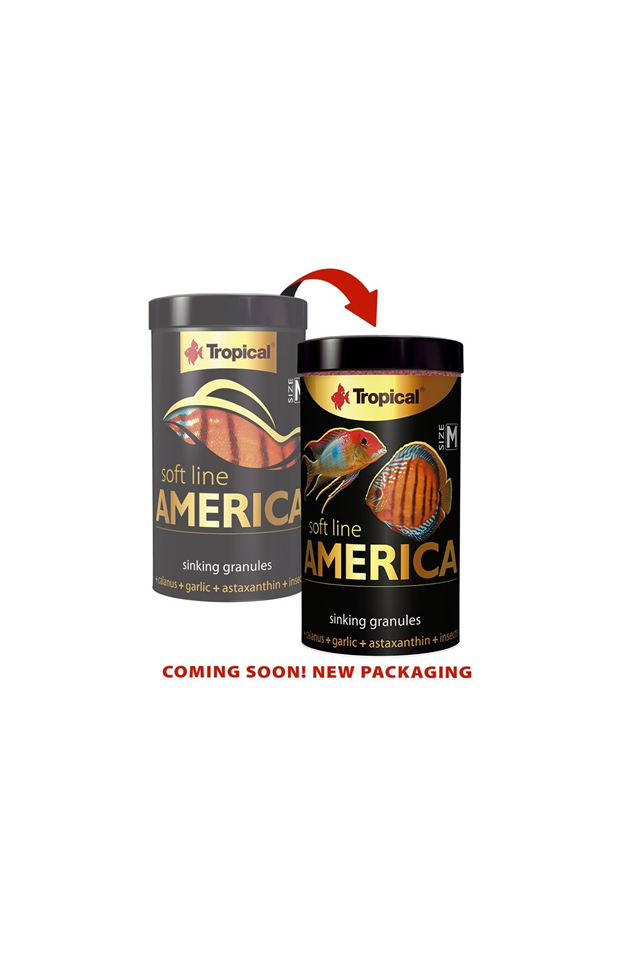 Tropical Soft Line America Size M 250ml/150Gr