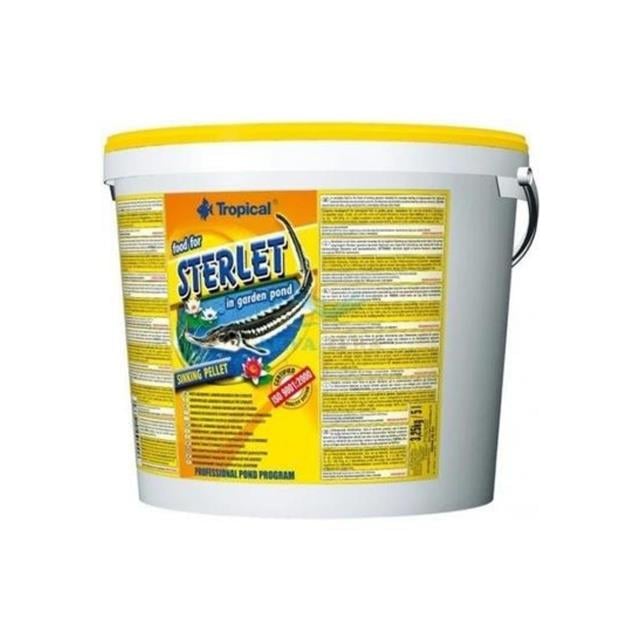 Tropical Sterillet Basic