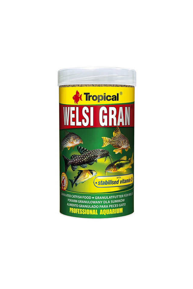 Tropical Welsi Gran