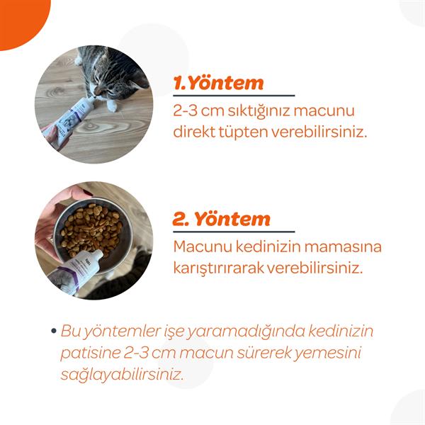 Vet's Plus Multi-Vitamin Taurinli Malt Kedi Macunu 100gr - Kedi Macunları