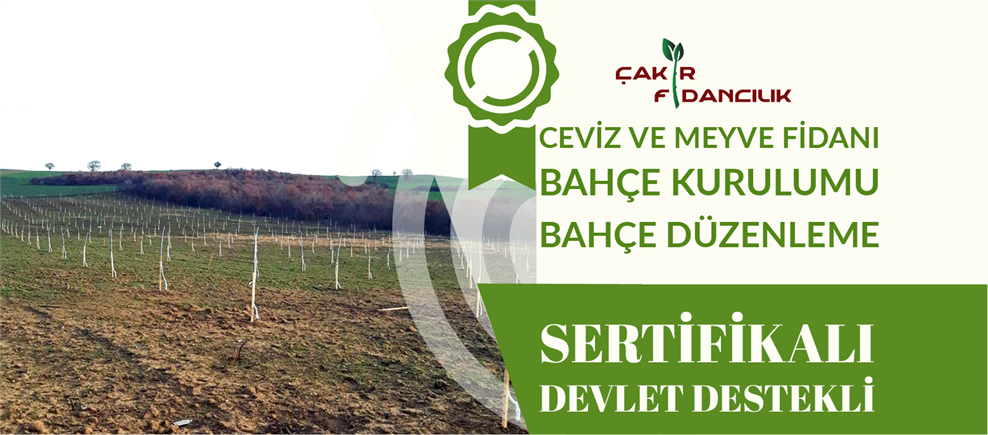 ahzap butik iek dilligil in parfuemue