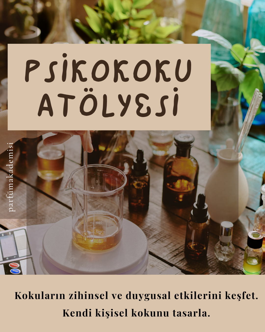 Hypatia Natural Products