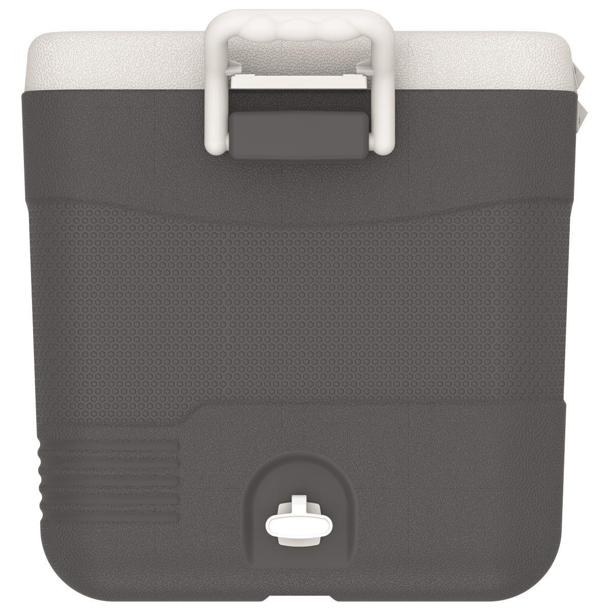 IcePeak CoolCraft 60 Buzluk 56.4 Litre Füme