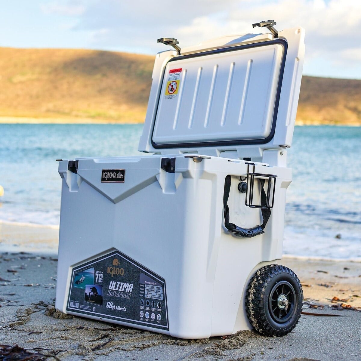 IGLOO Ultima 60 Qt Tekerlekli RotoMold Buzluk 57 Litre
