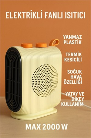 220V-240V Termostatlı Elektrikli Fanlı Isıtıcı Soba Sıcak ve Soğuk Üfleme Taşınabilir Isıtıcı