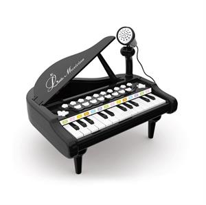 31 Tuşlu Mikrofonlu Mini Piano MP3