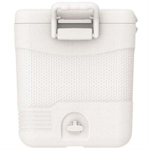 IcePeak CoolCraft 46 Buzluk 41.6 Litre Beyaz