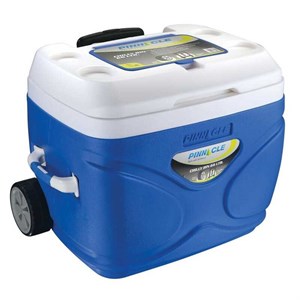 Pinnacle Prudence Tekerlekli Buzluk 66 Litre