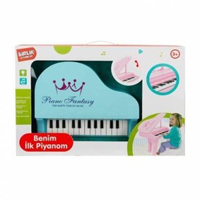 Sesli ve Işıklı Benim İlk Piyanom 25 Tuşlu Kayıt Özellikli