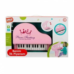 Sesli ve Işıklı Benim İlk Piyanom 25 Tuşlu Kayıt Özellikli