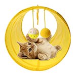 Kedi