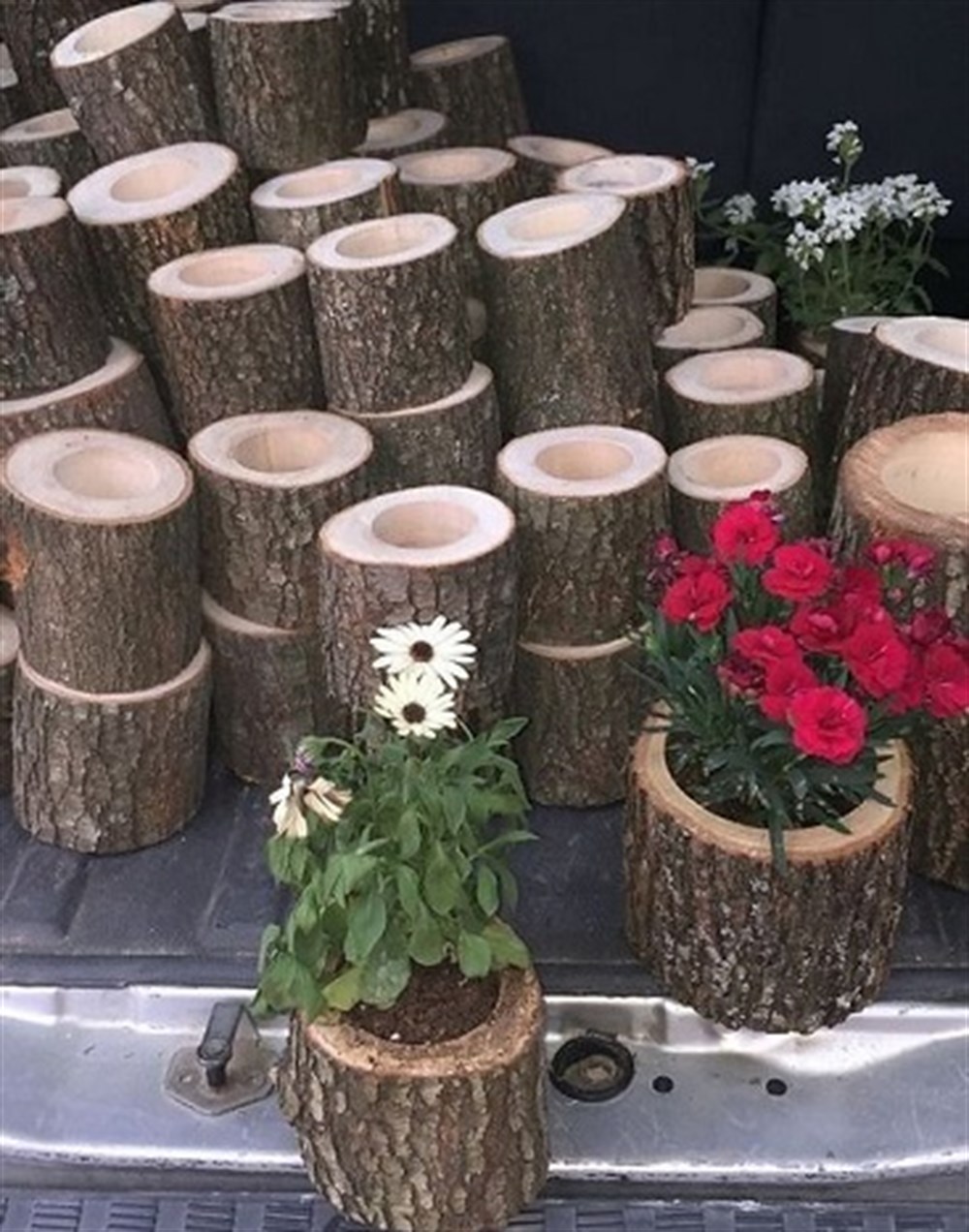 Doğal Odun Minik Saksı 4 Adet | Güldüren Fiyatlar