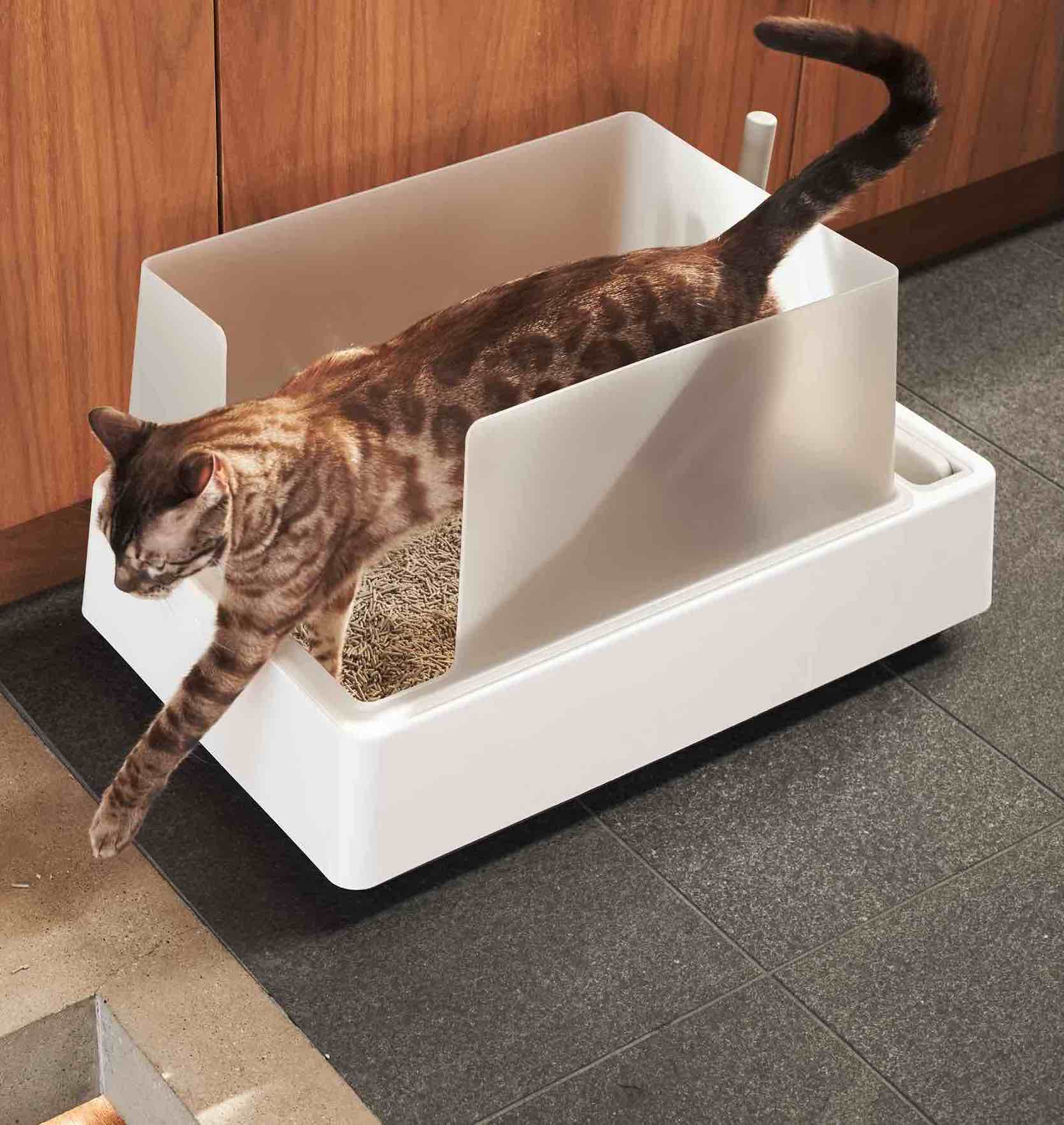 Doğal Kedi Kumu Nedir?