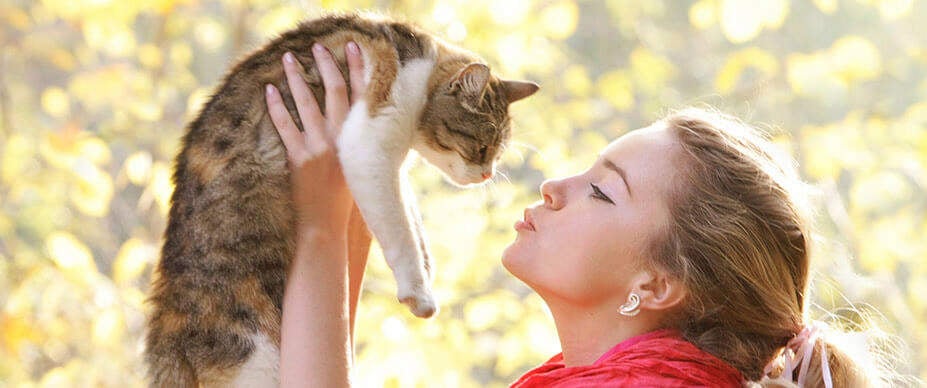 Kedi Sahiplenmeden Önce Nelere Dikkat Edilmeli?