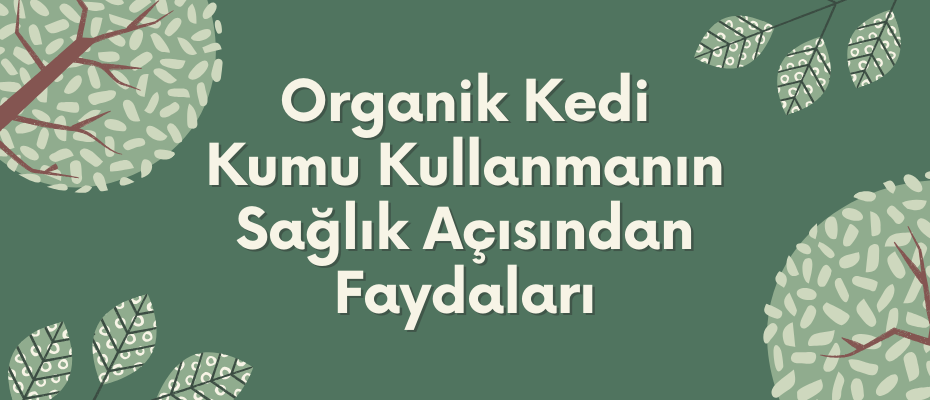Organik Kedi Kumu Kullanmanın Sağlık Açısından Faydaları