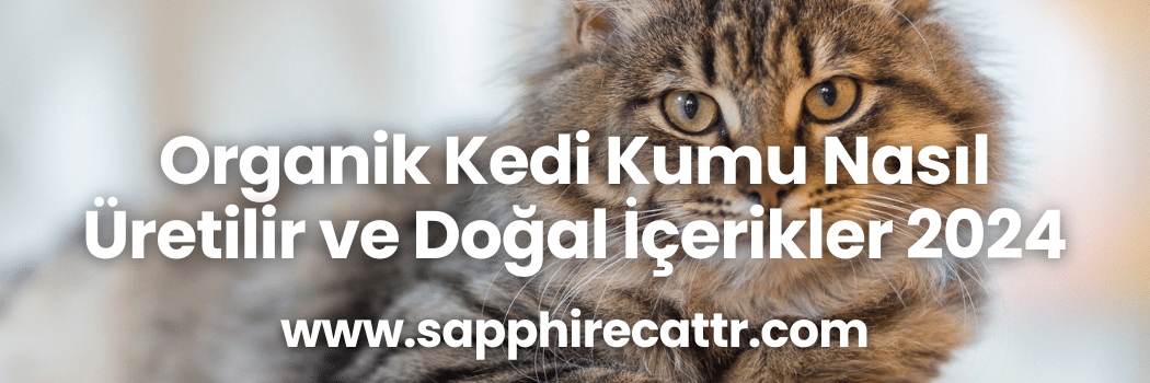 Organik Kedi Kumu Nasıl Üretilir ve Doğal İçerikler 2024