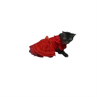 Kırmızı Dantelli Kedi Elbisesi