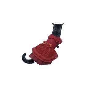 Kırmızı Dantelli Kedi Elbisesi