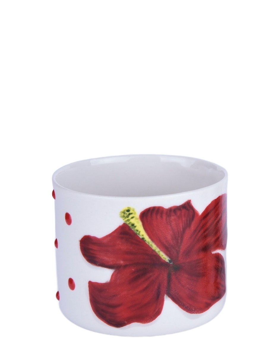 GAIA-HIBISCUS/ SHORT