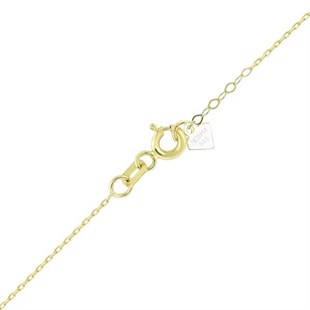 Kuzey Yıldızı Altın Kolye