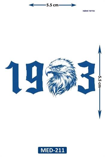 1 AY KALICI TAKIM DÖVME 239