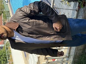 BRBR Deri Mont (MTKA44)