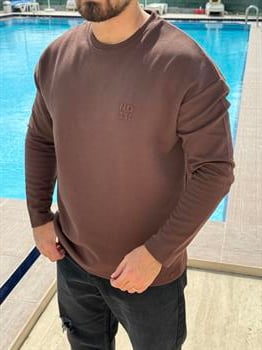 Regular Fit Yeni Sezon Sweatshirt (SVTKA43)