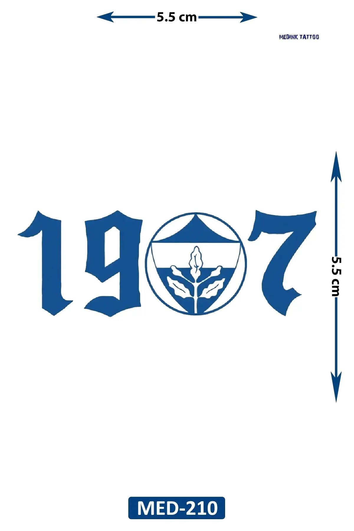 1 AY KALICI TAKIM DÖVME 241