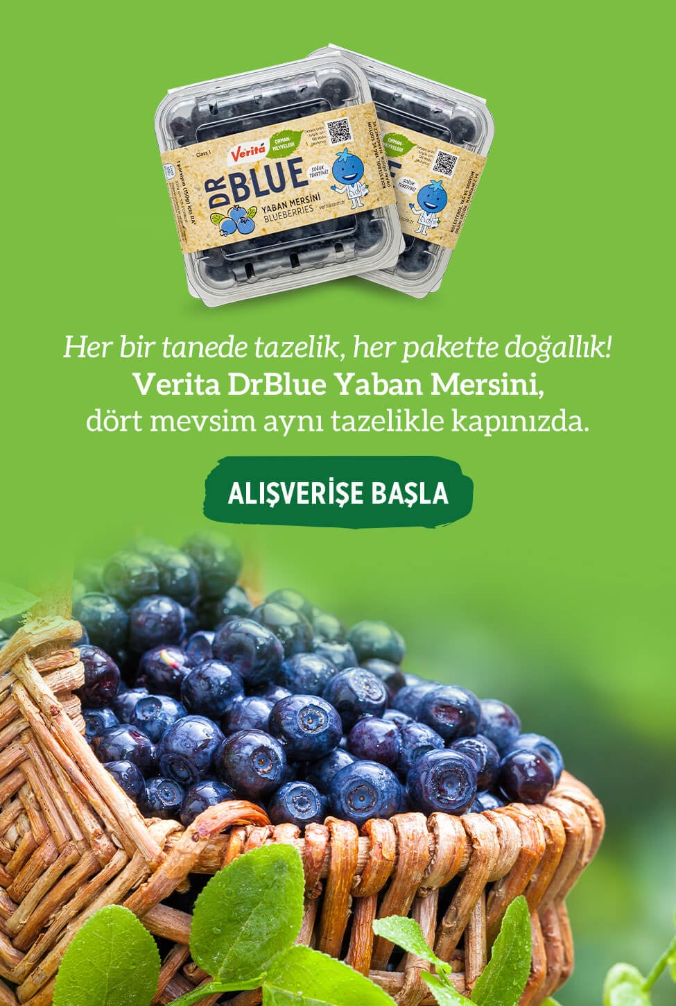 yaban mersini bluberry drblue