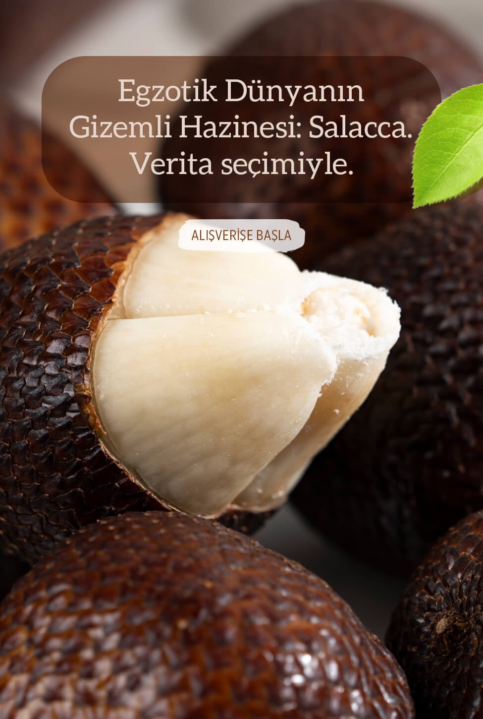 salacca snake yılan meyvesi