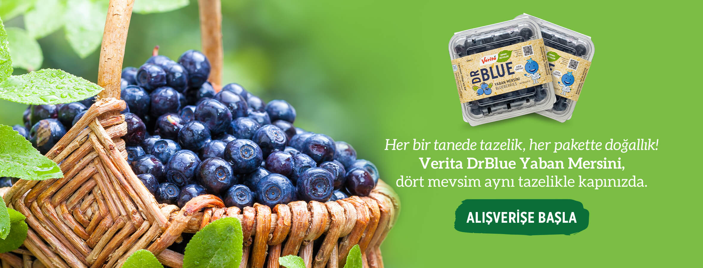 yaban mersini bluberry drblue